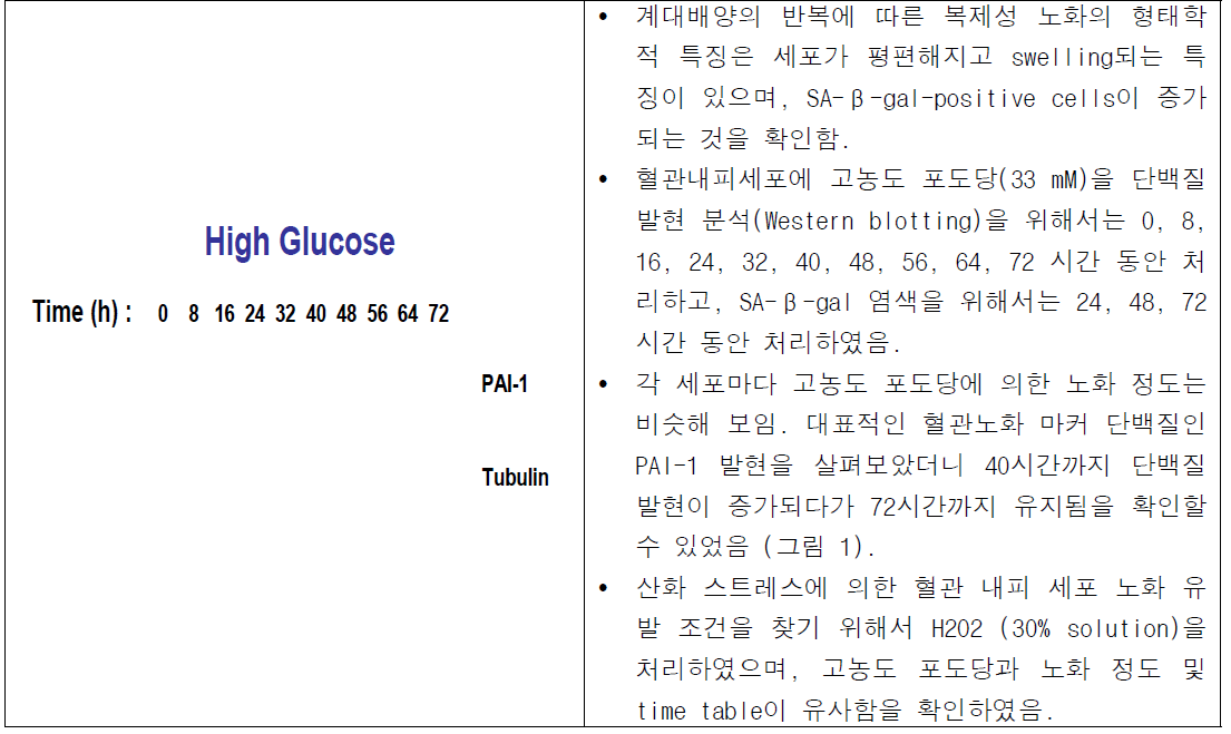 혈관 내피 노화 조건의 확립