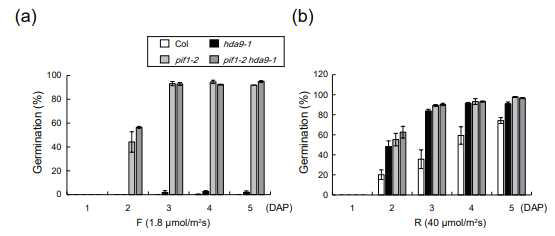 HDA9과 PIF1의 epistasis 상관관계. 야생종과 hda9-1, pif1-2 그리고 pif1-2 hda9-1 double mutant에서 종자의 발아효율을 측정하였다. (a) 5분의 Fp (1.8 μmol/m2s)와 (b) 5분의 Rp (40 μmol/m2s)를 처리한 후 모두 24시간의 dark 처리를 하여 종자의 발아효율을 관찰하였다