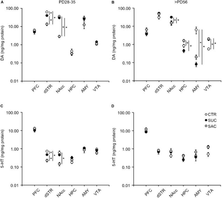 Alterations of tissue DA and 5-HT concentrations in mesocorticolimbic regions of animals subjected to sucrose and saccharine treatments. Graphs showing tissue DA concentrations in the PFC, dSTR, NAcc, HPC, AMY, and VTA of juvenile (A) and adult (B) animals. Graphs similar to a and b but showing tissue 5-HT concentrations in juvenile (C) and adult (D) animals. *p < 0.05