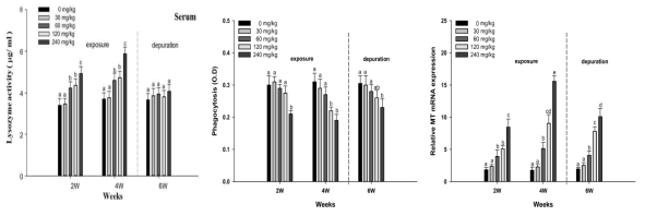 Immune responses and MT gene in plasma of starry flounder, Platichthys stellatus exposed to dietary lead (Pb) for 4 weeks, followed by a depuration period of 2 weeks. Values are mean±S.D. Values with different superscript are significantly different in 2, 4 and 6 weeks ( P < 0.05) as determined by Duncan's multiple range test