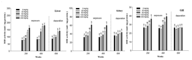 Superoxide dismutase activities in liver, kidney and gill of starry flounder, Platichthys stellatus exposed to dietary lead (Pb) for 4 weeks, followed by a depuration period of 2 weeks. Values are mean±S.D. Values with different superscript are significantly different in 2, 4 and 6 weeks ( P < 0.05) as determined by Duncan's multiple range test