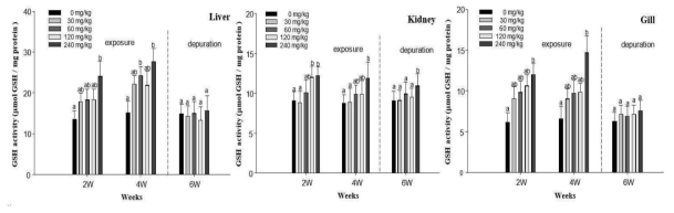 Reduced glutathione levels in liver, kidney and gill of starry flounder, Platichthys stellatus exposed to dietary lead (Pb) for 4 weeks, followed by a depuration period of 2 weeks. Values are mean±S.D. Values with different superscript are significantly different in 2, 4 and 6 weeks ( P < 0.05) as determined by Duncan's multiple range test