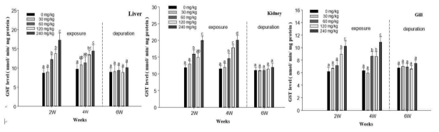 Glutathione-S-transferase activities in liver, kidney and gill of starry flounder, Platichthys stellatus exposed to dietary lead (Pb) for 4 weeks, followed by a depuration period of 2 weeks. Values are mean±S.D. Values with different superscript are significantly different in 2, 4 and 6 weeks ( P < 0.05) as determined by Duncan's multiple range test