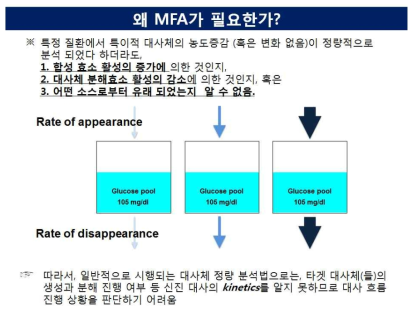 기존의 단순 정량적 대사체 분석 방법의 한계 및 MFA의 필요성