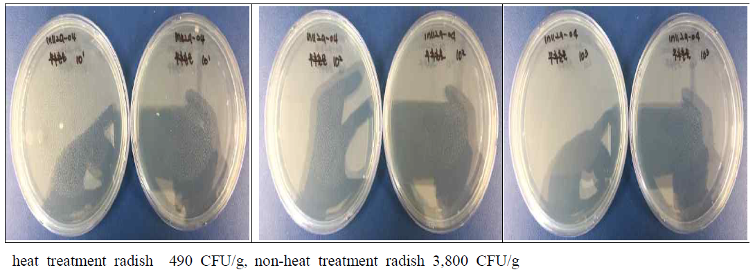 The Common bacterials contents of heat treatment radish and non-heat treatment radish