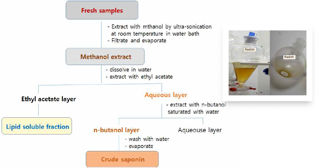 The methanol extracts from each vegetable were partitioned into ethyl acetate and water partitioned into ethyl acetate and water layer, and the lipid soluble material transferred to the ethyl acetate fraction