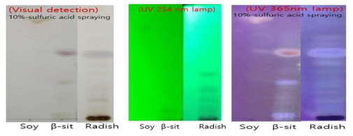 TLC of lipid-soluble material fractionated with ethyl acetate of Radish. *Silica gel 60 TLC aluminum sheet was developed with hexane/ethyl acetate(5:5) and then detected visually after 10%-sulfuric acid spraying and heating