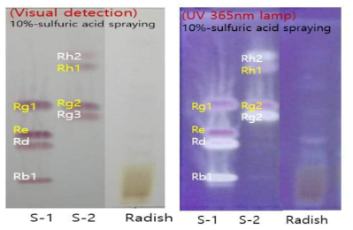TLC of glycosylated saponin fractionated with 1-butanol of Radish. *Silica gel 60 TLC aluminum sheet was developed with hexane/ethyl acetate(5:5) and then detected visually after 10%-sulfuric acid spraying and heating. **References ; S-1 ginsenoside Rb1, Rd, Re and Rg1, S-2 ginsenoside Rg2, Rg3, Rh1, Rh2