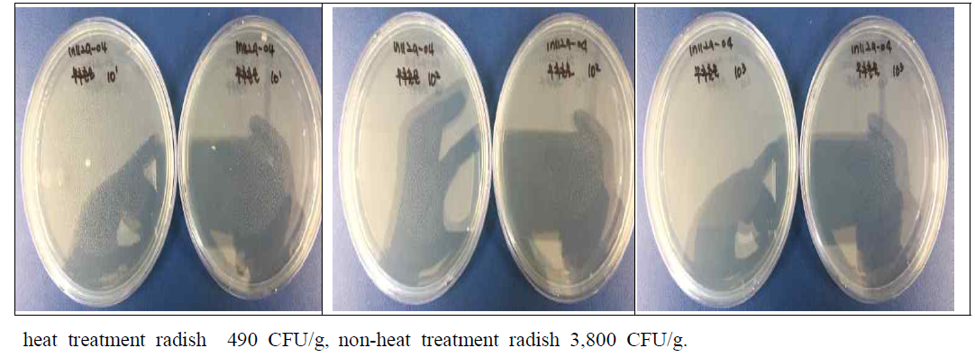 The Common bacterials contents of heat treatment radish and non-heat treatment radish