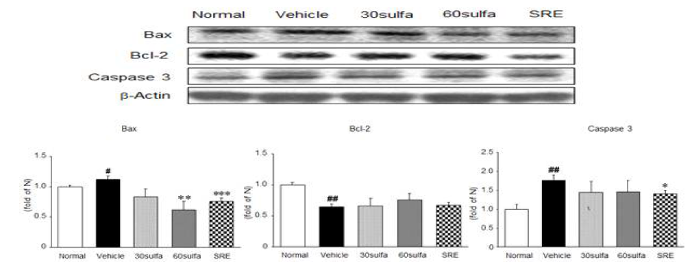 Bax, Bcl-2, and Caspase 3 protein expressions in DSS-induced colitis. Normal, normal mice; Vehicle, DSS control mice; 30sulfa; sulfasalazine 30 mg/kg-treated mice; 60sulfa, sulfasalazine 60mg/kg-treated mice. Data are mean ± S.E.M. (n=7) Significance: #P<0.05,##P<0.01versus normal mice and*P<0.05, ***P<0.001 versus DSS control mice