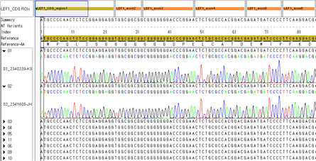 Sequence analysis of LEF1 CDS regions