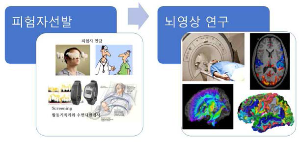 연구의 개요