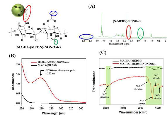 합성된 HA-HA-(MEDN)-NONOates의 다양한 분석법.(A)NMR, (B) UV-Vis spectra, (C) FT-IR spectra