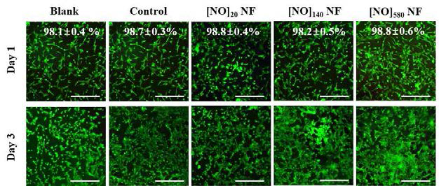 NO 저장·전달 HA 기반 나노섬유의 세포독성평가