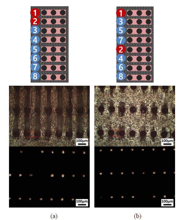 Micro hole array with scan line spacing of 0.3 mm according to different scan sequence (Laser: Power 95%, Freq. 20kHz, Scan speed 2000mm/s, No. of scan 100) (Fiber direction: Vertical, Scan direction: Horizontal)
