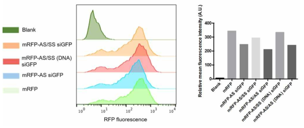 mRNA structure (coding RFP)에 siRNA sequence (inhibiting GFP)가 도입된 RNA의 단백 발현 및 억제 효과를 flow cytometry로 확인