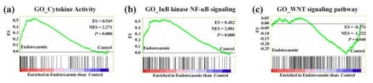 LPS-induced endotoxemic mice 간 조직의 Gene set enrichment analysis