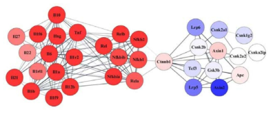 STRING DB 분석을 통한 interaction analysis