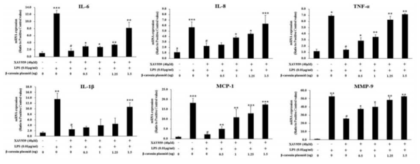 분자표적A의 용량별 overexpression이 염증성 cytokine 발현에 미치는 효과