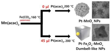 Pt-MnOx와 Pt-Fe3O4-MnOx 나노입자의 합성과정