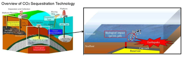 CCS(Carbon Capture & Storage, 탄소 포집 및 저장)과 해양저장된 CO2의 누출 개념도