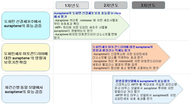 연차별 연구 목표 및 내용