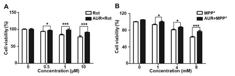 Auraptene처리후 rotenone (A)과 MPP+(B)에 의해 유도된 도파민세포 cell viability 감소의 변화