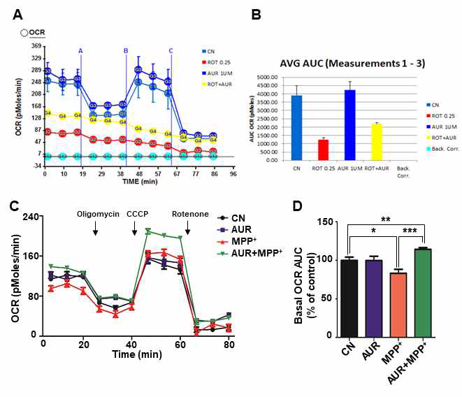 Auraptene이 rotenone(A,B)과 MPP+(C,D)에 의한 미토콘드리아 산소소모율 감소를 완화시킴