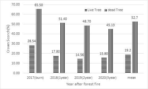 산불 발생 후 수관피해율(Crown Scorh)와 수목의 고사 관계 분석