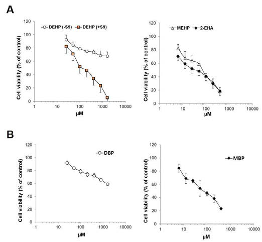 Dose-dependent cell survival of DEHP and its metabolites (A), and DBP and its metabolite (B) in TK6 cells. Data represent mean ± S.D. for three measurements
