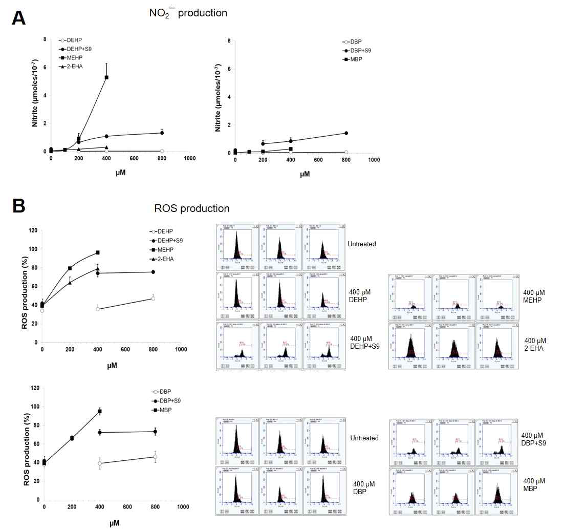 Nitric oxide (A) and ROS (B) production after treatment with DEHP and DBP, and their metabolites in TK6 cells. Data represent mean ± S.D. for three measurements