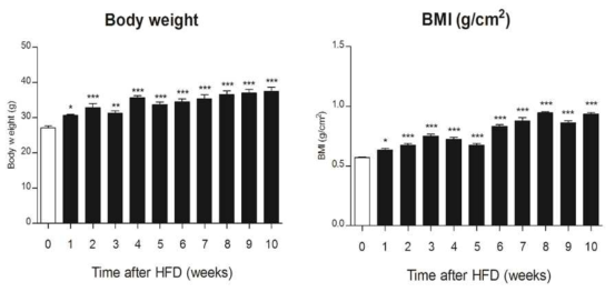 Increases of body weight and BMI level in HFD-induced mice