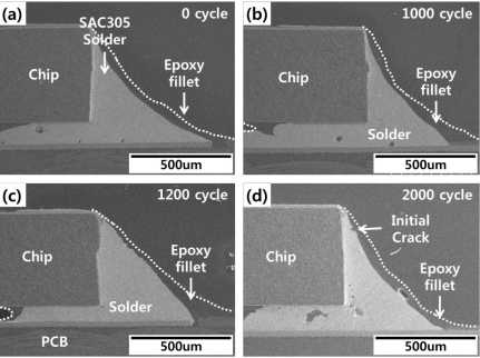 열충격 시험에 따른 폴리머-SAC305 솔더 접합부의 단면
