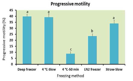 Effect of different freezing methods on sperm progressive motility after dog sperm cryopreservation