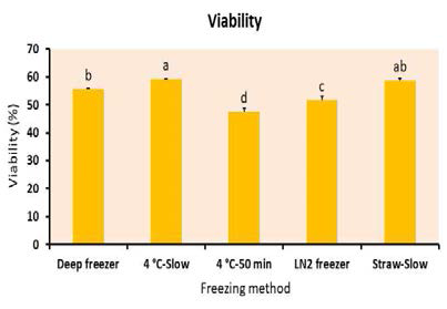 Effect of different freezing methods on sperm viability after dog sperm cryopreservation