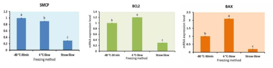 Effect of different freezing methods on the expression level of SMCP, BCL2, BAX genes of dog spermatozoa after cryopreservation