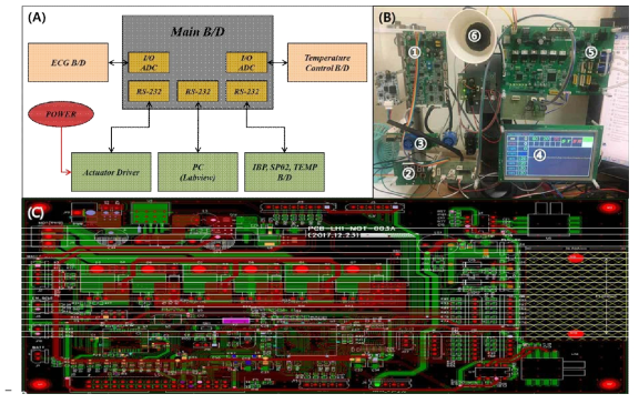 적출 장기를 보존하기 위한 통합 제어시스템 도식도(A), 회로 구성(B) 및 Actuator 구동을 위한 Driver PCB 설계도(C).(➀IBP, SP02, TMP Module, ➁TEMP. Controller, ➂IBP, SP02, TEMP. connecter, ➃Main B/D&Touch LDC, ➄Motor Driver, ➅Buzzer)