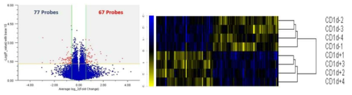 조절 B 세포의 NGS 기반 RNA-sequencing 분석
