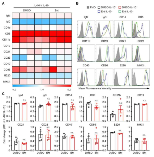 Entinostat에 의한 조절 B 세포의 표현형 변화