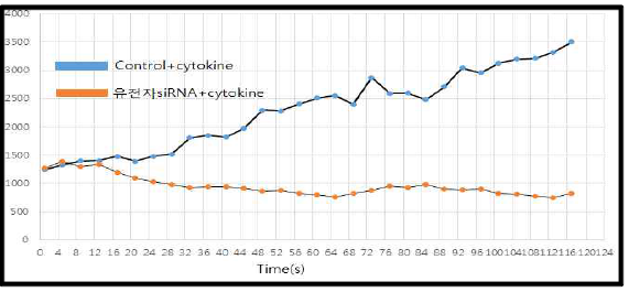 cytokine으로 자극한 치은섬유아세포에서 유전자siRNA에 의한 ROS생성억제 확인