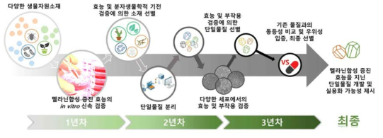 연구범위 및 진행 과정