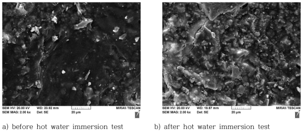 Micrographs of Ortho-type specimen surface observed before/after hot water immersion test