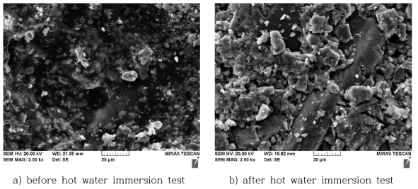 Micrographs of Iso-type specimen surface observed before/after hot water immersion test