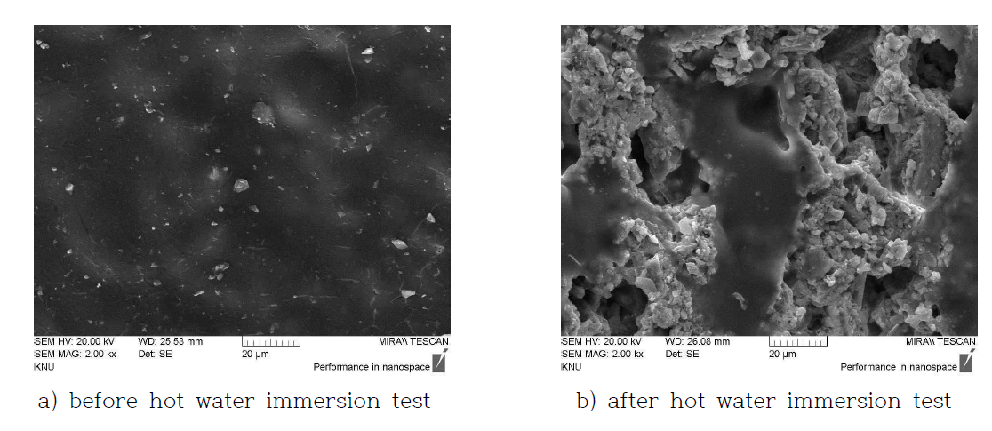 Micrograph of specimen surface(IS/A20)