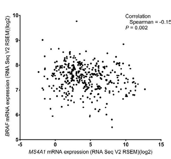 TCGA 데이터에서 MS4A1 mRNA 발현을 분석한 결과
