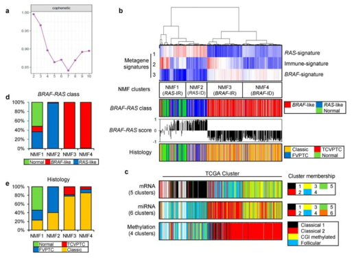 Gene expression profiles and non-negative matrix factorization (NMF)-driven metagene signatures of papillary thyroid carcinoma (PTC) in TCGA cohort