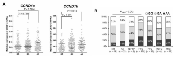 Association of CCND1 G870A polymorphism (rs9344) and the levels of CCND1 mRNA expression in thyroid tumors