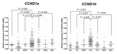 갑상선종양에서 CCND1 mRNA isoforms의 발현량 차이 분석