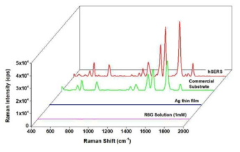 다공성 나노구조 Ag 금속박막과 상용기판의 라만 응답특성