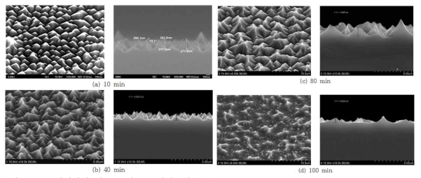 공정시간에 따른 요철구조 형성특성(SF6/O2 = 20/24 sccm, RF power= 250 W, process pressure = 200 mTorr, Sub. temp.=10 ℃)